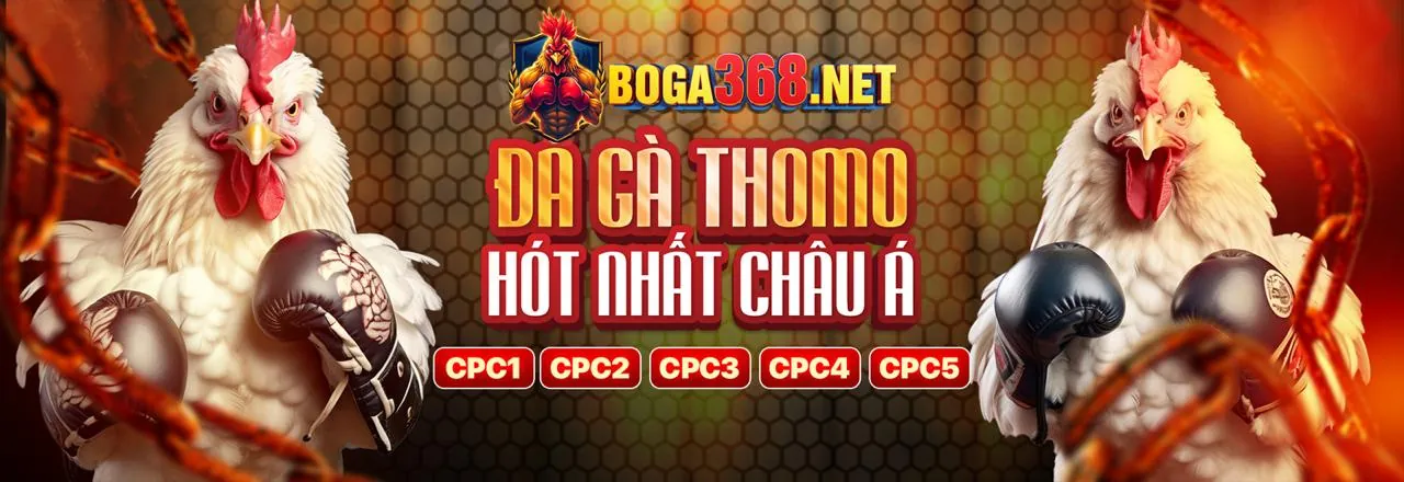Đá Gà Trực Tuyến 788bet Nổ Hũ